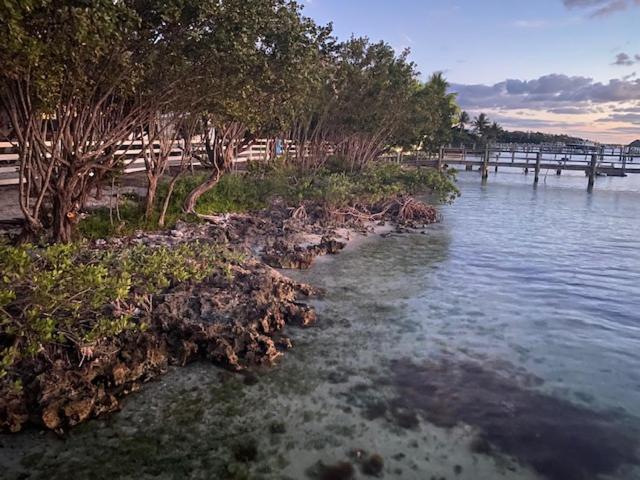 Bahia Bay Resort Key Largo Buitenkant foto